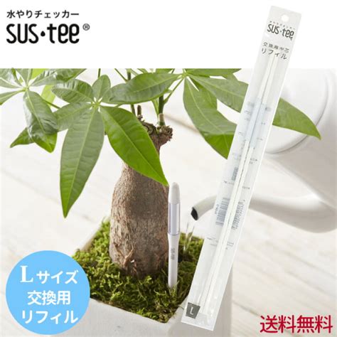 植木 水分計|SUSTEE サスティー｜水やりのタイミングが分かる水やり .